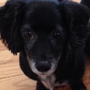 Meet your Posher, Ha